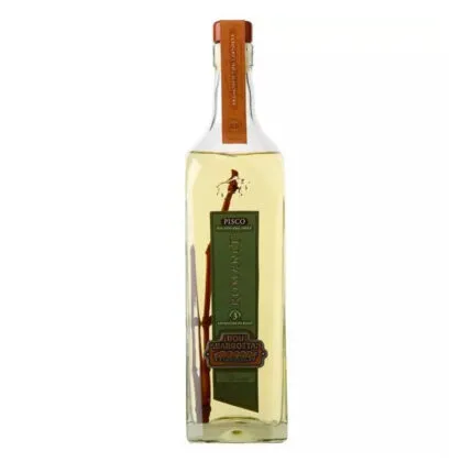 Botella de Pisco Bou Barroeta Romanet 35° de 750cc, de color amarillo verdoso claro con una rama de sarmiento en su interior.