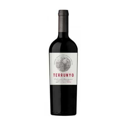 Botella de vino tinto Terrunyo Cabernet Sauvignon 2017 D.O. Maipo, Chile.