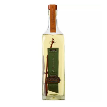 Botella de Pisco Bou Barroeta Romanet 35° de 750cc, de color amarillo verdoso claro con una rama de sarmiento en su interior.