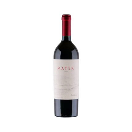 Botella de Vino Mater Red Blend 2009 de TerraMater, Valle del Maipo Chile, con etiqueta blanca y cápsula roja.
