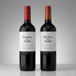 Pack 2 vinos Casillero Del Diablo Carmenere y Cabernet Sauvignon - Imagen 2